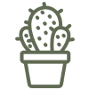 Boutique de cactus et de succulentes liée au professionnel