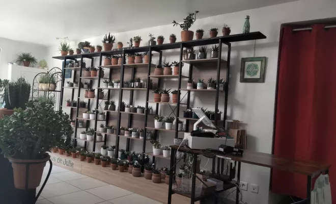 Votre jardinerie de référence à Uzès, Uzès, Les Jardins d'Alain