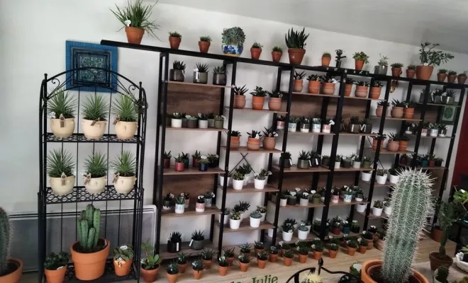 Votre jardinerie de référence à Uzès, Uzès, Les Jardins d'Alain
