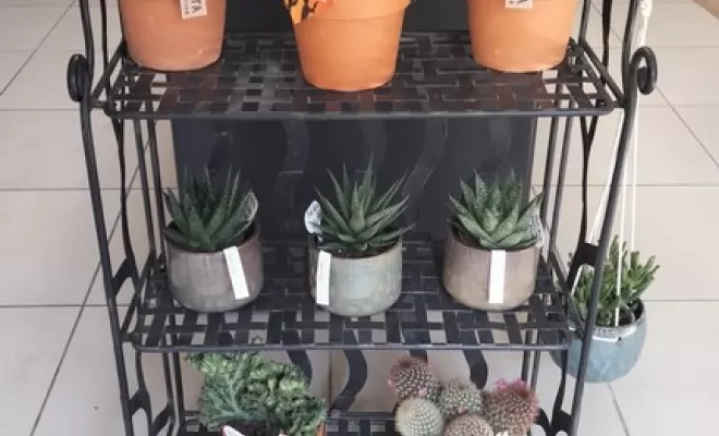 Votre jardinerie de référence à Uzès, Uzès, Les Jardins d'Alain